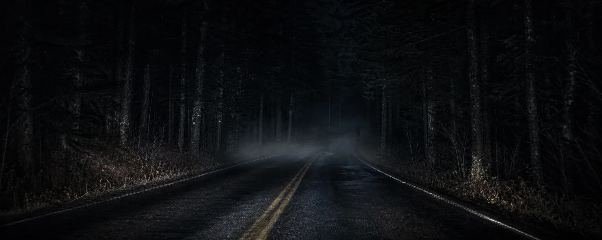 An empty foggy road disappearing into a dark forest at night