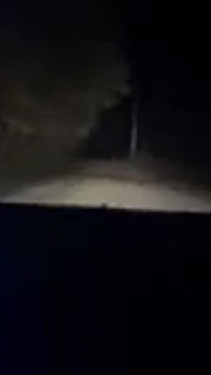 Passenger reaction video from a Dark Drives Saskatoon night tour, road report 1